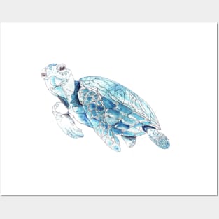 SEA TURTLE WHITA Posters and Art